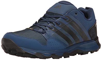 adidas outdoor Men's Kanadia 7 TR Gore-Tex Trail Running Shoe